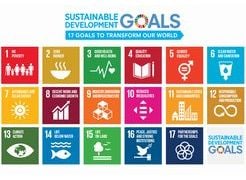Approach to SDGs through business