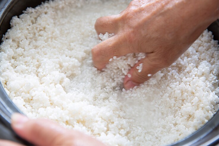 Measuring the Taste of Rice with a Taste Evaluation System