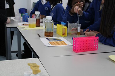 Analysis in progress