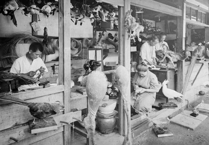 Specimen manufacturing work scene