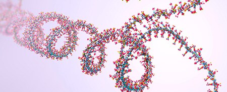 Oligonucleotide and mRNA Therapeutics