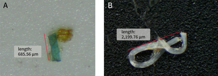 Fig. 2 Appearance of Microplastics (a) and (b)