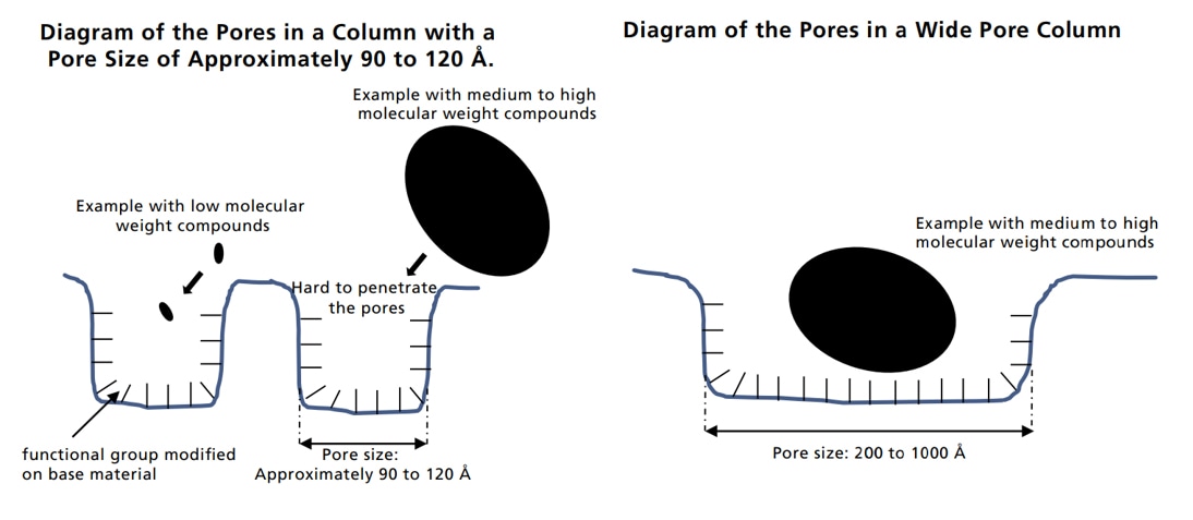 Diagrams of the Pores in a General Column and a Wide Pore Column