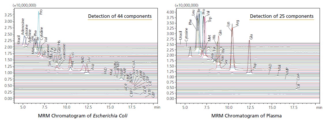 MRM Chromatogram of Escherichia Coli , MRM Chromatogram of Plasma