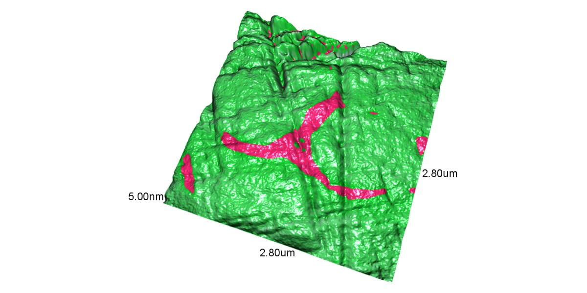 Visualization of microscopic polarization domains in piezoelectric materials