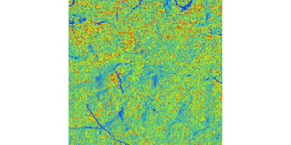 Rapid viscoelastic evaluation of polymeric materials