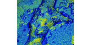 Evaluation of dispersion state of CNF/polymer composite fiber