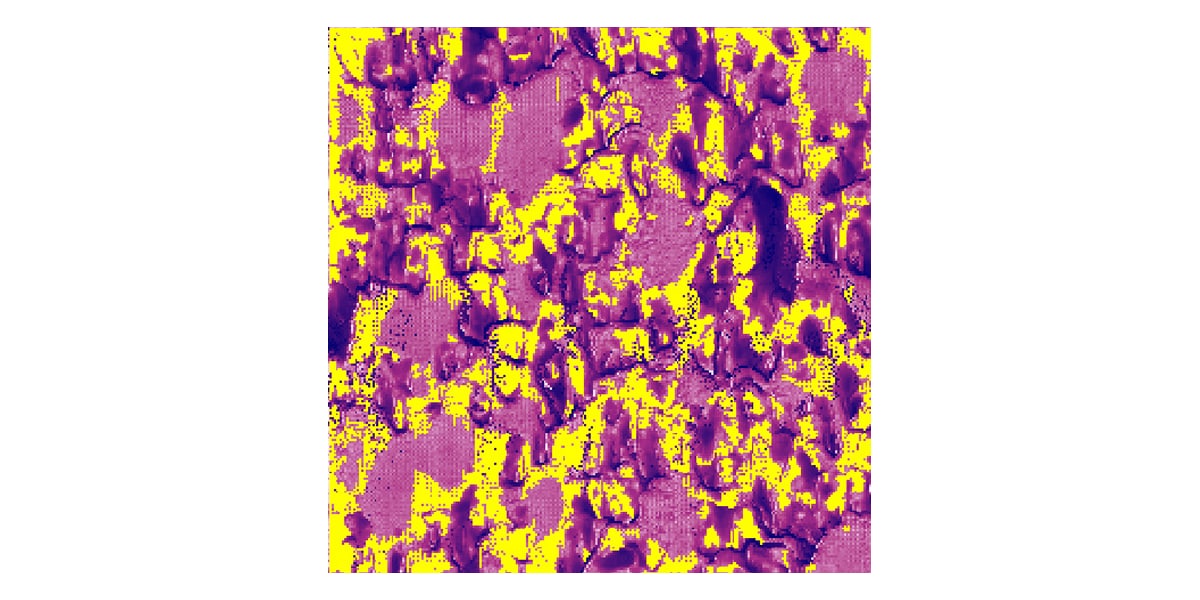 Evaluation of polymer distribution in plastics