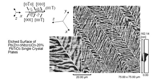 Domain Wall in Ferroelectrics