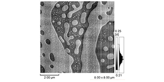 Ferroelectric (TGS) Cleavage Surface I