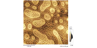 Ferroelectric (TGS) Cleavage Surface III