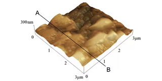 The Structural Analysis of Martensite Lath Strucutres in High-Temperature Strength Material by AFM