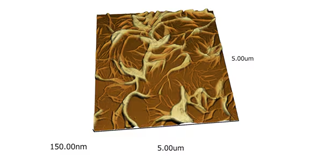 Gold Ultrathin Nanowires