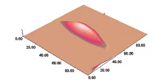 Observation of living cultured cells in liquid