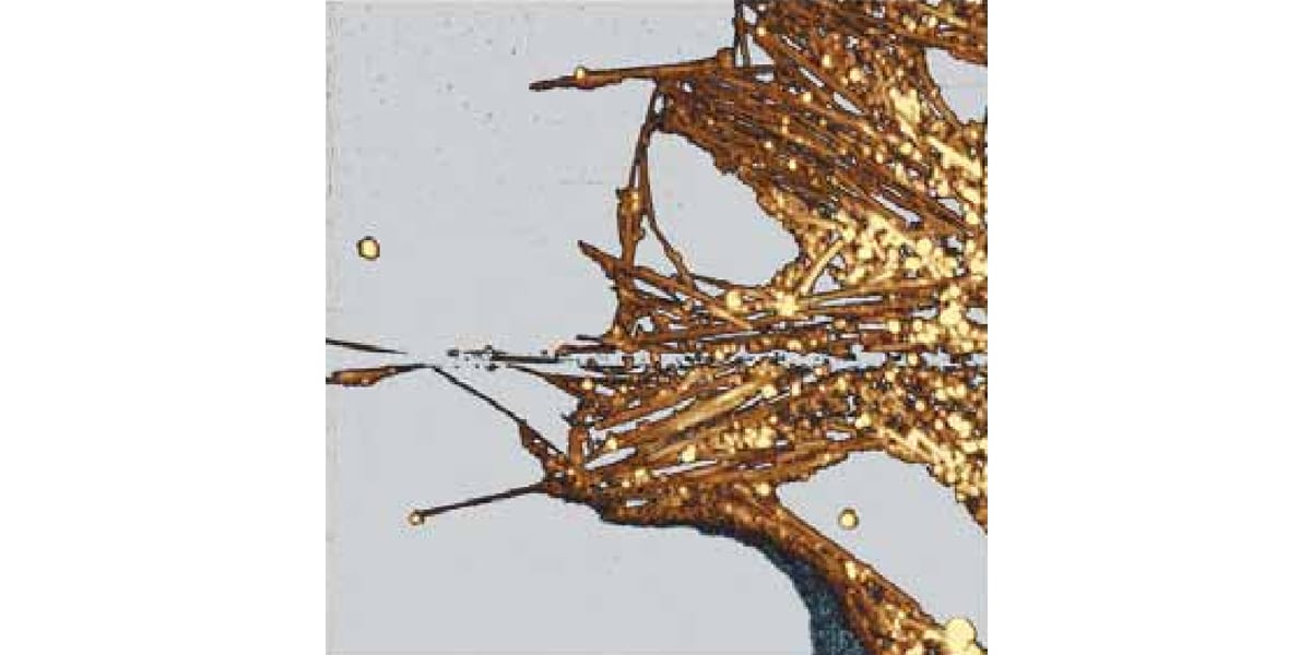 Evaluation of dispersibility of CNTs before and after purification