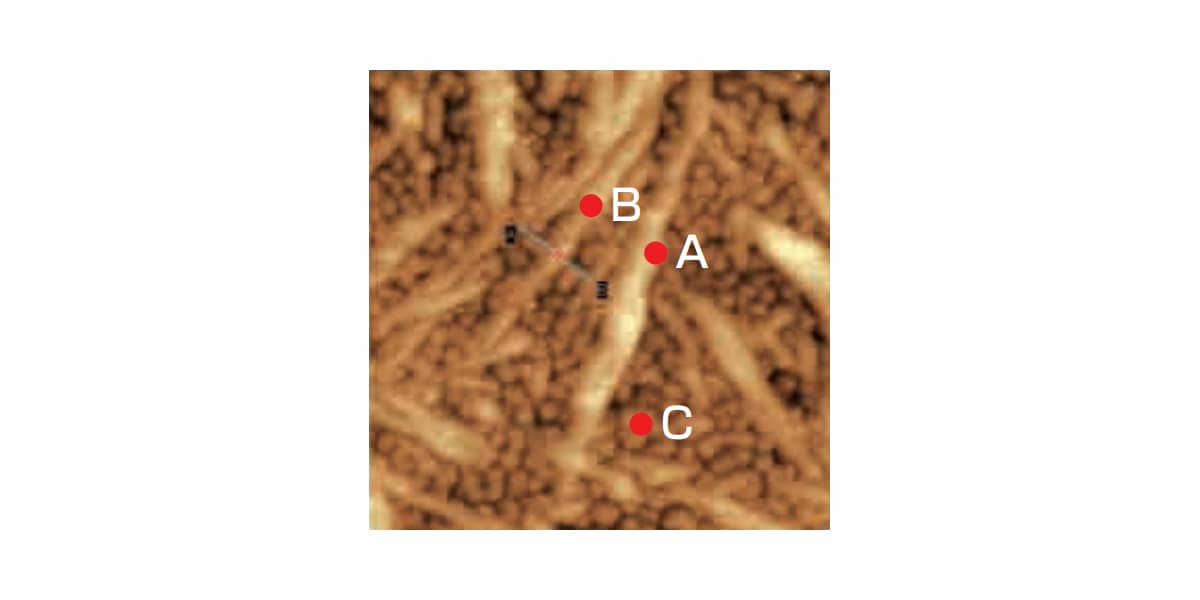 Morphology and I/V characteristics of fullerene on CNT composites