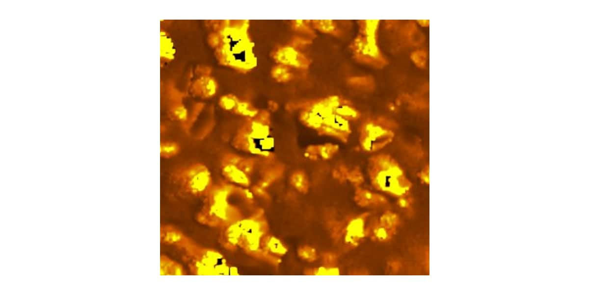 Evaluation of Elastic Modulus of Polymeric Materials