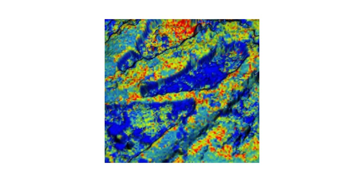 Evaluation of elastic modulus of cellulose nanofiber/polymer composite