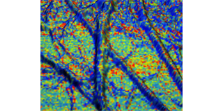 Evaluation of elastic modulus of cellulose nanofibers