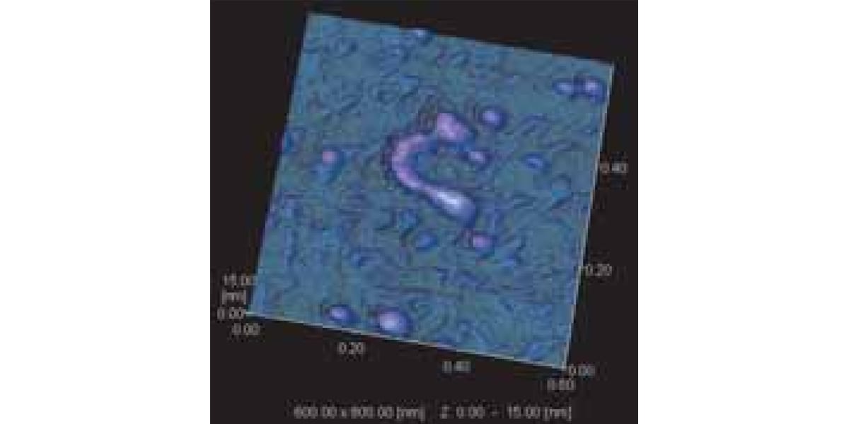 3D observation of fibroin protein