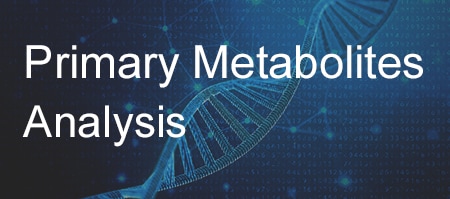 Primary Metabolites Analysis