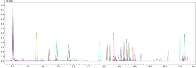 MRM Chromatogram at The Lowest Point of The Calibration Curve