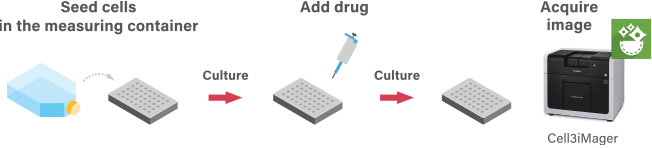 Células de siembra en el recipiente de medición → Agregar fármaco → Adquirir imagen (Cell3iMager)