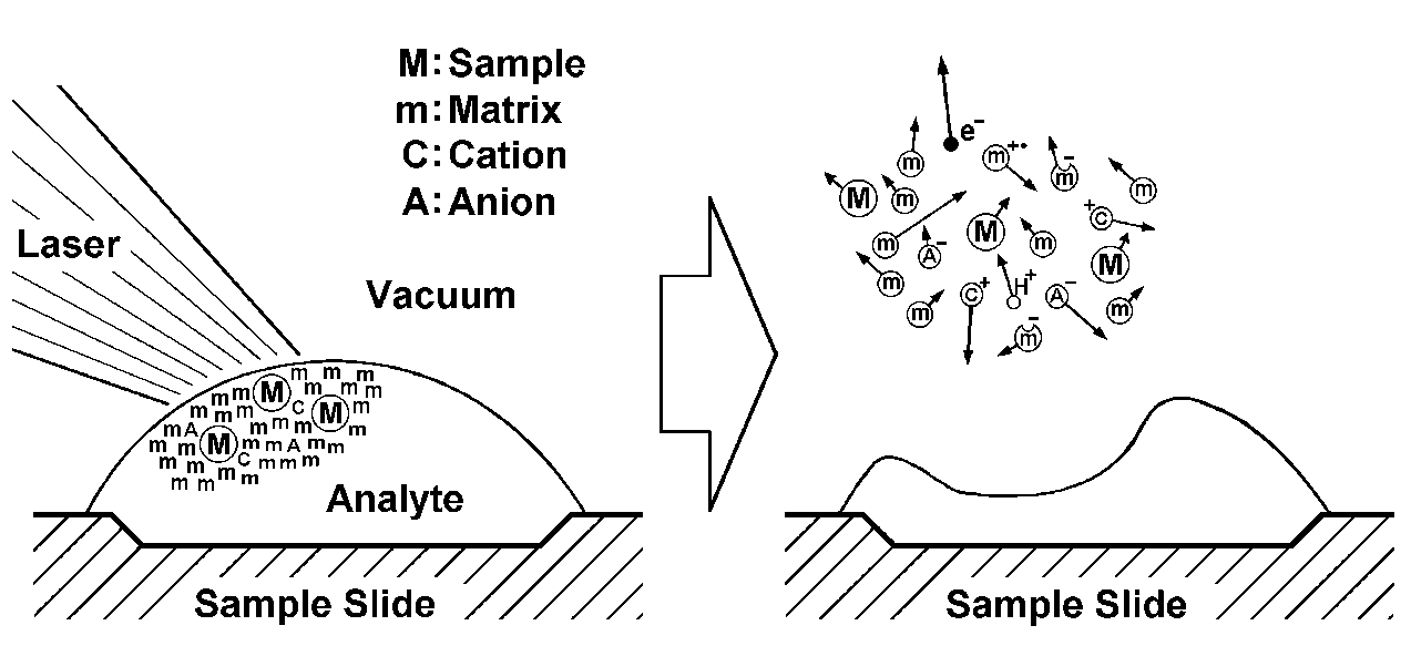 Simplified explanation diagram of Soft Laser Desorption method