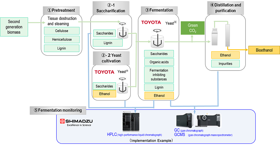 ∗TOYOTA XyloAceTM, a yeast developed by Toyota Motor Corporation